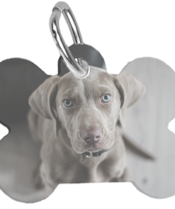 Id Tag Hond