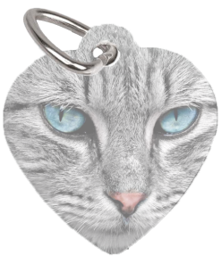 Id Tag Kat