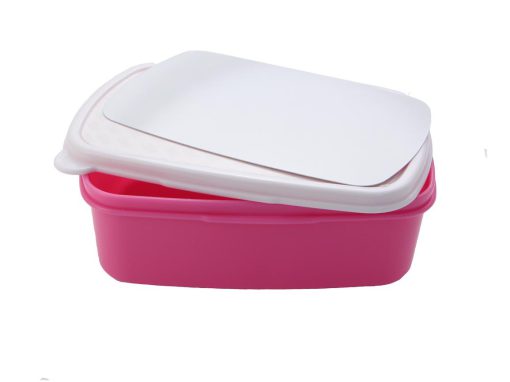 Lunchbox Roze