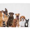 Mat voor hond en kat