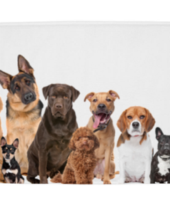 Mat voor hond en kat