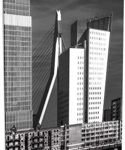 De Erasmusbrug in zwart/wit (Verticaal)