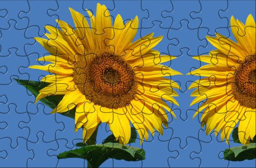 Puzzel laten maken 384 stukjes