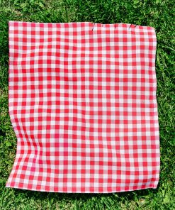 Picknickkleed