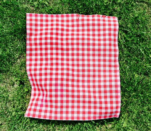 Picknickkleed