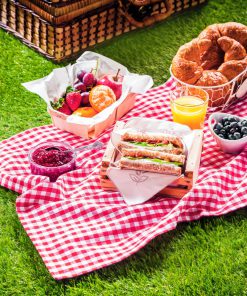 Picknickkleed
