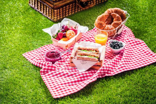 Picknickkleed